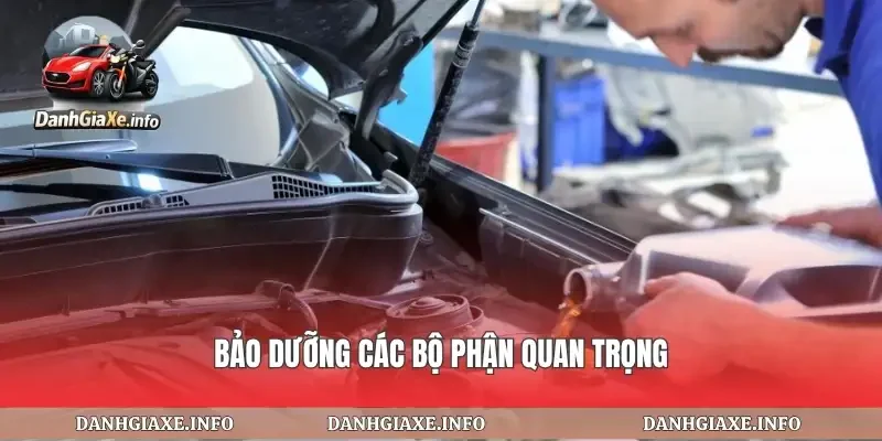 Bảo dưỡng các bộ phận quan trọng