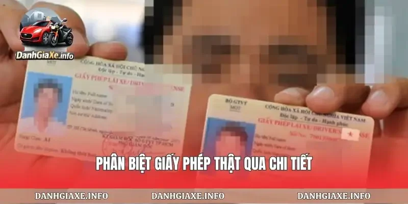 Phân biệt giấy phép thật qua chi tiết